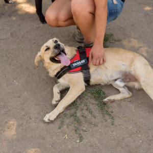 fotozas09_kesz_-50 fotozas09_kesz_-50