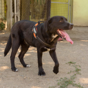 fotozas09_kesz_-72 fotozas09_kesz_-72