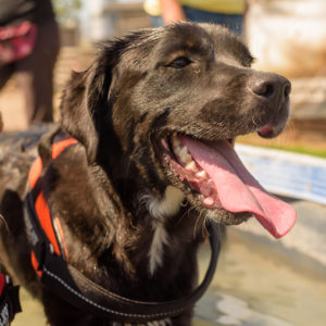 fotozas09_kesz_-90 fotozas09_kesz_-90