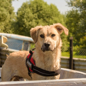 fotozas09_kesz_-98 fotozas09_kesz_-98