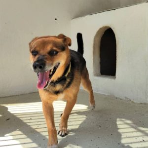 296171311_2259888930831314_4643386089466449455_n 296171311_2259888930831314_4643386089466449455_n