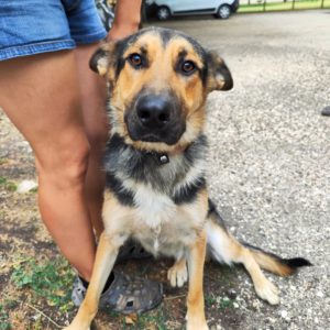 296478766_2215034495340539_3925636052928707694_n 296478766_2215034495340539_3925636052928707694_n