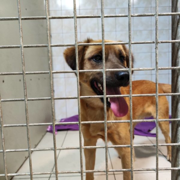 296552074_1017453922300915_2058424099276846615_n 296552074_1017453922300915_2058424099276846615_n