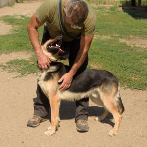 fotozas10_kesz_01-11 fotozas10_kesz_01-11