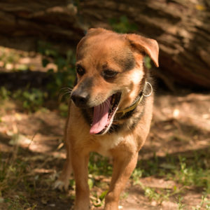 fotozas10_kesz_01-118 fotozas10_kesz_01-118