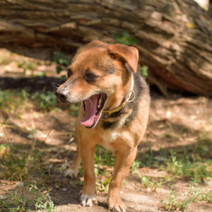 fotozas10_kesz_01-119