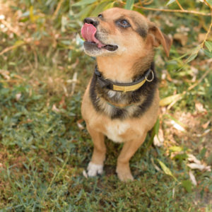 fotozas10_kesz_01-129 fotozas10_kesz_01-129