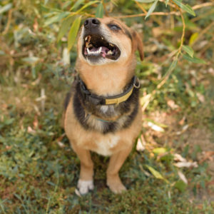 fotozas10_kesz_01-131 fotozas10_kesz_01-131