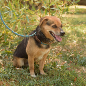 fotozas10_kesz_01-132