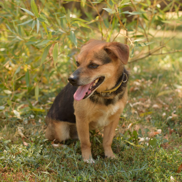 fotozas10_kesz_01-133 fotozas10_kesz_01-133