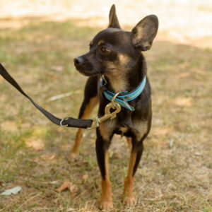 fotozas10_kesz_01-135 fotozas10_kesz_01-135