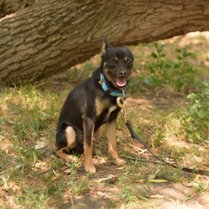 fotozas10_kesz_01-143 fotozas10_kesz_01-143