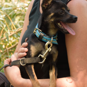 fotozas10_kesz_01-161 fotozas10_kesz_01-161