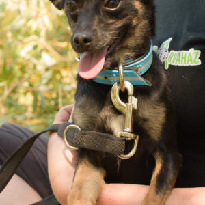 fotozas10_kesz_01-166 fotozas10_kesz_01-166