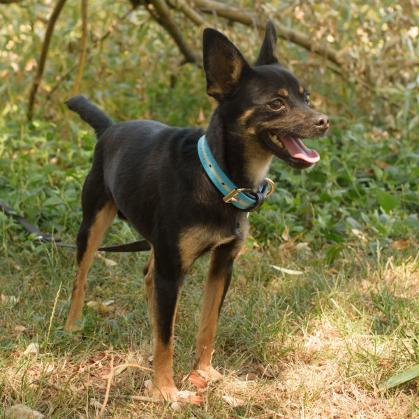 fotozas10_kesz_01-170 fotozas10_kesz_01-170