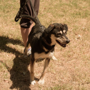 fotozas10_kesz_01-176 fotozas10_kesz_01-176