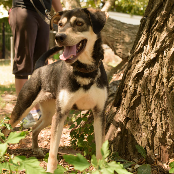 fotozas10_kesz_01-184 fotozas10_kesz_01-184