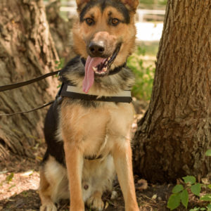 fotozas10_kesz_01-70 fotozas10_kesz_01-70