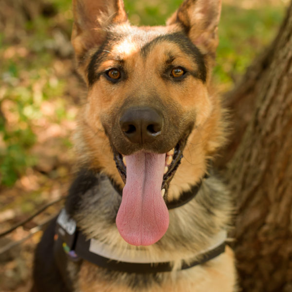 fotozas10_kesz_01-72 fotozas10_kesz_01-72