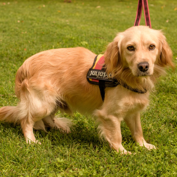 15_Ebarvahaz_fotozas (177 of 340)