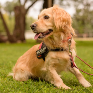 15_Ebarvahaz_fotozas (189 of 340)