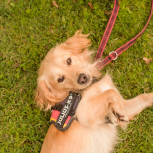 15_Ebarvahaz_fotozas (191 of 340)