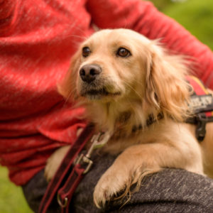 15_Ebarvahaz_fotozas (194 of 340)