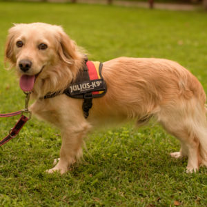 15_Ebarvahaz_fotozas (198 of 340)