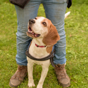 15_Ebarvahaz_fotozas (218 of 340) 15_Ebarvahaz_fotozas (218 of 340)