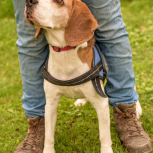 15_Ebarvahaz_fotozas (219 of 340) 15_Ebarvahaz_fotozas (219 of 340)