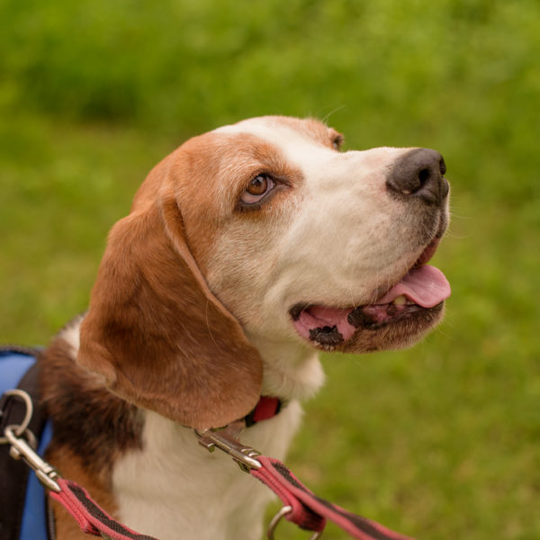 15_Ebarvahaz_fotozas (222 of 340) 15_Ebarvahaz_fotozas (222 of 340)