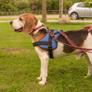 15_Ebarvahaz_fotozas (248 of 340) 15_Ebarvahaz_fotozas (248 of 340)