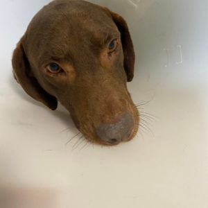 302436396_606004734239150_8465850373922539358_n