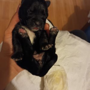 309522185_400377788955072_8962963042068307638_n