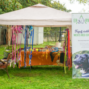 310230687_2309033995916807_3882044120399222547_n