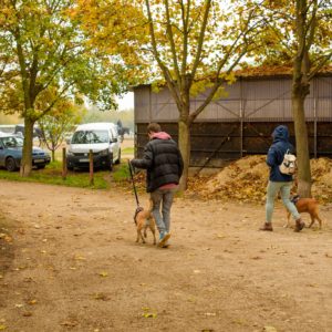 311975112_2336824876471052_2308372373342255266_n (1)