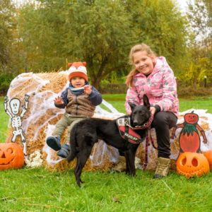 312408090_2336825073137699_2382911976559445146_n (1)