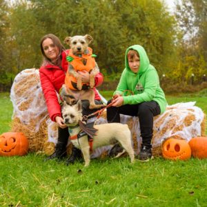 312527667_2336824606471079_6127634507887852417_n