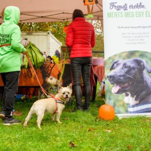 312570128_2336824609804412_7518736567062984597_n