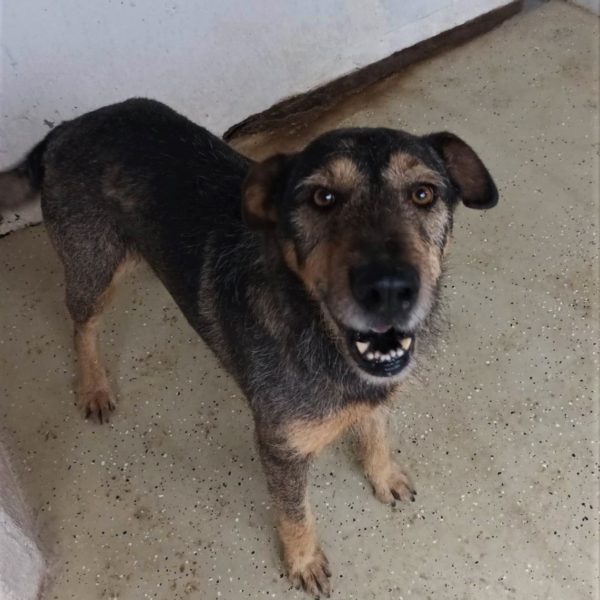 315423070_2351386608348212_1631133670024469444_n