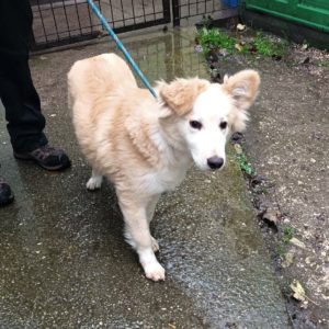 315843505_2351386511681555_8836294673820999103_n