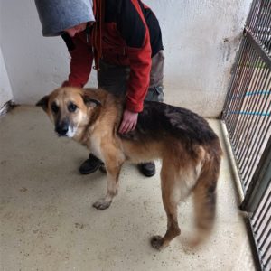 316043460_2351386398348233_5474057147969200389_n