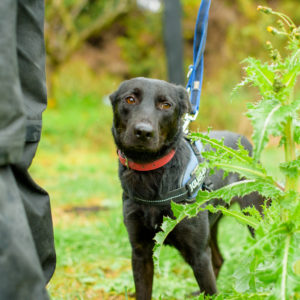 26_Ebarvahaz_fotozás-4598 26_Ebarvahaz_fotozás-4598