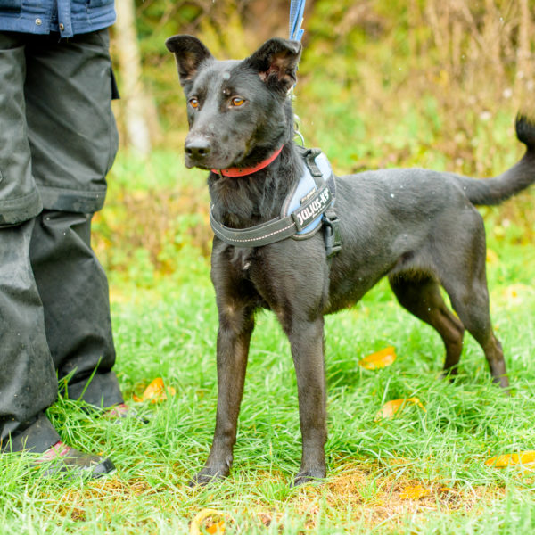 26_Ebarvahaz_fotozás-4604 26_Ebarvahaz_fotozás-4604