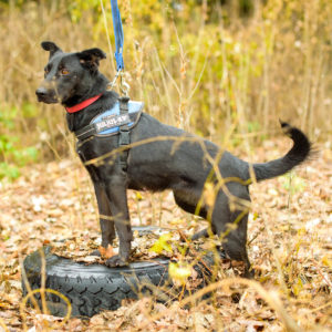 26_Ebarvahaz_fotozás-4615 26_Ebarvahaz_fotozás-4615