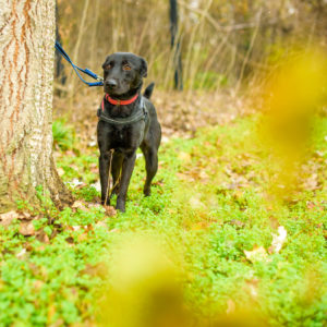 26_Ebarvahaz_fotozás-4633 26_Ebarvahaz_fotozás-4633