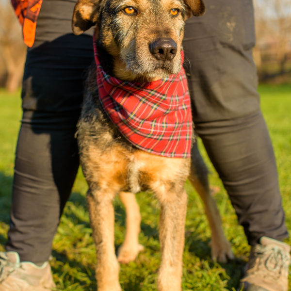 28_Ebarvahaz_fotozás-58 28_Ebarvahaz_fotozás-58