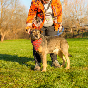 28_Ebarvahaz_fotozás-74 28_Ebarvahaz_fotozás-74