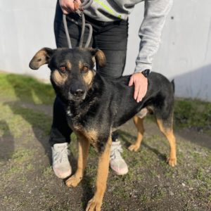 324092969_923961119014482_6447107125596973607_n 324092969_923961119014482_6447107125596973607_n