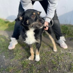 324421369_1247618572497959_8287602236759093441_n 324421369_1247618572497959_8287602236759093441_n